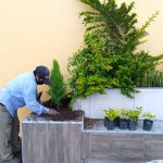 reahabilitacion