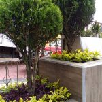 jardines